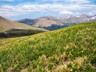 Tundra landscape in the Rocky Mountains, Colorado
