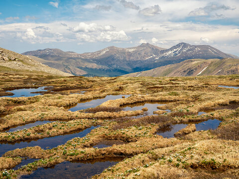 Wetland in the Rocky Mountains, Colorado