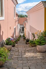 Fototapeta na wymiar Streets of the old town of Szentendre, Hungary