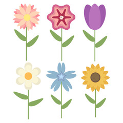 vector set of flowers