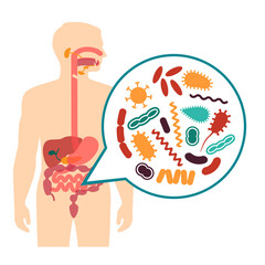 medical vector illustration of stomach ache, human digestive system problems