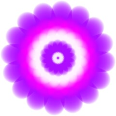 Hand-drawn colorful flower isolated on white background. Greeting card.