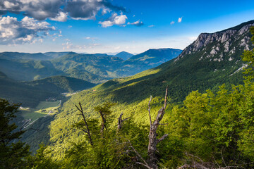 National park Sutjeska in Bosnia and Herzegovina. The park is one of the last primary forests in...