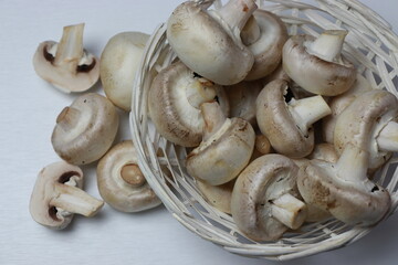 Mushrooms in a white basket. Top view on white background