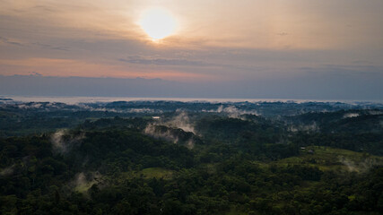 Discover the jungle from all the points of view