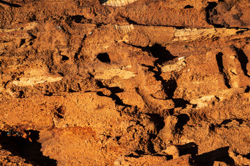 Wood abstract texture. Surface grunge backdrop. Dirty wooden effect pattern. Material background.