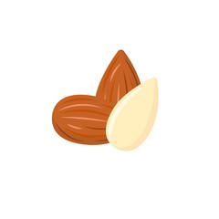 hazelnut vector element