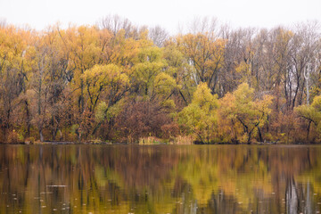 Fototapeta na wymiar Pond with reflection of trees with yellow foliage.