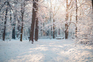 Snowy winter landscape panorama with dreamy sunlight. Idyllic winter nature, adventure and freedom scenic. Amazing seasonal landscape, forest path and snow. Majestic winter landscape, wonderland
