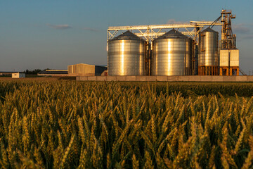 Large iron barrels of grain at sunset. The beautiful light of the setting sun illuminates silver silos on agro manufacturing plant for processing drying cleaning and storage of agricultural products © Pokoman