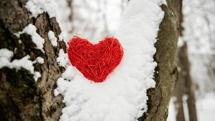 On white snow, a rattan red heart against the backgroundof a snowy forest. Holiday card with love