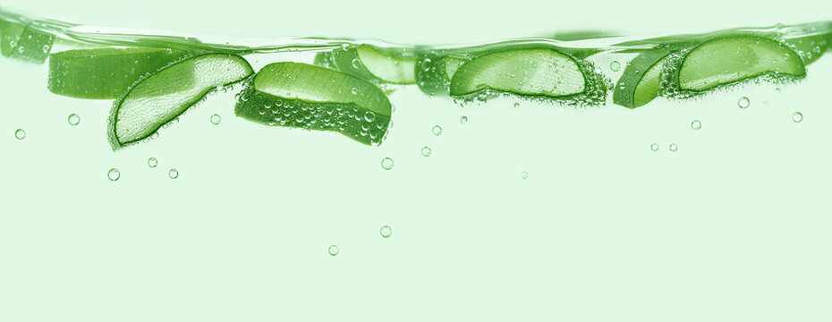 Aloe vera slices under water on green background. Copy space, banner.