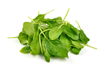 Fresh leaves of spinach, isolated on a white background.