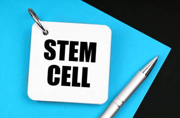 On the black surface lies blue paper, a pen and a notebook with the inscription - Stem cell