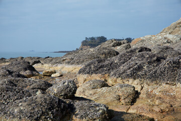 Fototapeta na wymiar volcanic rocks on the beach