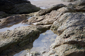 rocks on the beach with small puddle