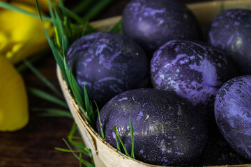 Bright Easter eggs in a wooden basket on a dark background. Yellow tulips on the background. The color of 2022 is Very Perry. Easter holiday creative concept background