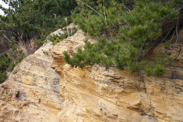 geological rock in the mountains