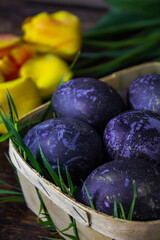 Bright Easter eggs in a wooden basket on a dark background. Yellow tulips on the background. The color of 2022 is Very Perry. Easter holiday creative concept background