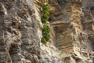 Geological topography formed by volcanic activity