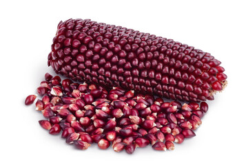 Purple corn or maize with seeds isolated on white background with clipping path and full depth of field