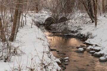 small stream in the snowy forest.and snow covered trees. Winter nature.