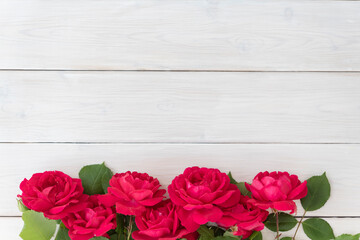 Top view of row of red roses on white wooden background, lots of copyspace. Greetimgs with valintines day, happy birthday, anniversary