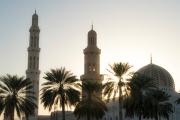 Fototapeta na wymiar Muscat,Oman - March 05,2019 : View on Sultan Qaboos grand mosque in Muscat.