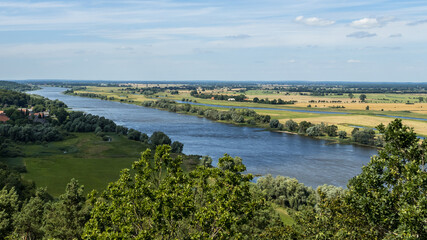 Fototapeta na wymiar The river Elbe in the green landscape in sunshine