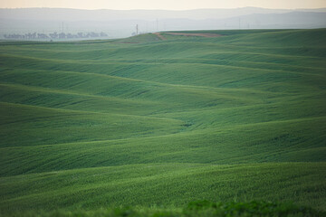 Obraz premium Amazing Landscapes of Israel, Views of the Holy Land 