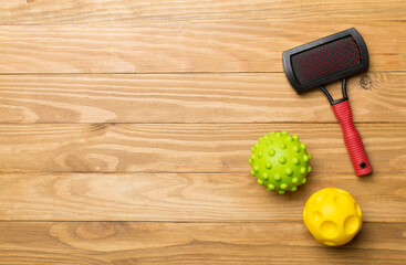 Pet brush and ball toys on color background