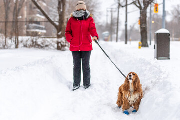 Fototapeta premium Woman Walking the Dog in Winter