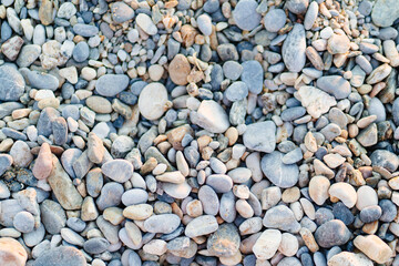 gray pebbles. pebble beach. stones for landscape design. background.
