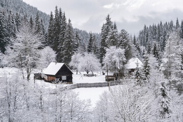 view to traditional mountains ukrainian village in winter day