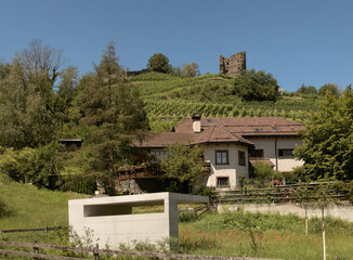 Fototapeta na wymiar Ruins atop vineyard in the Swiss town of Bad Ragaz