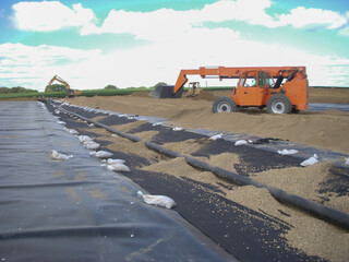 Installation of a leachate collection system under a new landfill with a liner and perforated rock.