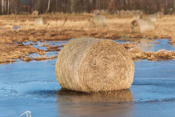Hay rolls are located in flooded meadow water in spring. Floods, flood