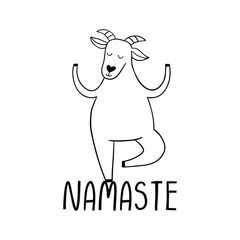 Namaste. Goat yoga exercise trend illustration of farm animal. New fitness style concept isolated on white background.