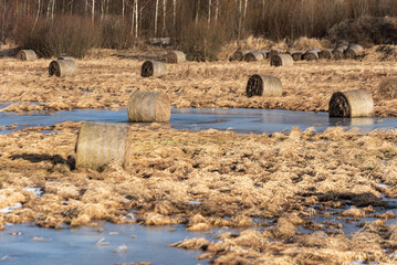 Hay rolls are located in flooded meadow water in spring. Floods, flood