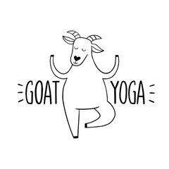 Goat yoga exercise trend illustration of farm animal. New fitness style concept isolated on white background.