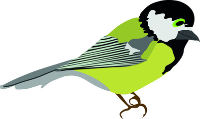 Tit isolated vector image. Cute cartoon bird.
