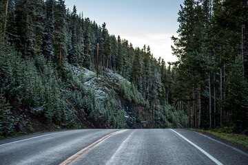 Fototapeta na wymiar A long way down the road of Yellowstone National Park, Wyoming