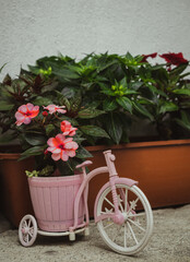 Fototapeta na wymiar Vintage style flower garden