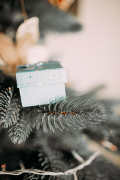 a gift in a blue box on the branches of a New Year's tree
