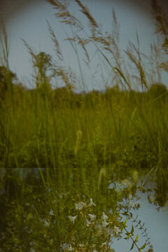 Abstract Multiple Nature Exposure Background Warm Tone