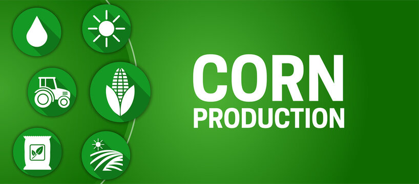 Green Corn Production Illustration Background