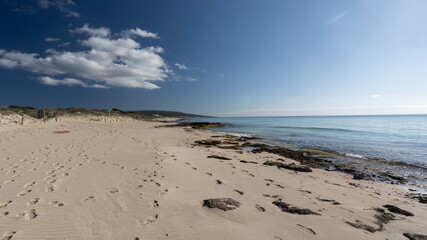 beach shore with rocks in sunny day