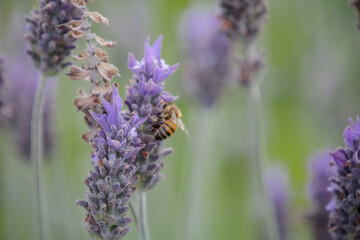 Laundry on the edge of a wonderful mountain.
