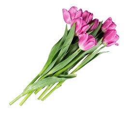 Fototapeta na wymiar A fresh beautiful bouquet of tulips flowers