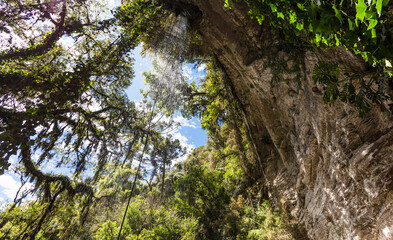 Rocky wall with waterfall in the middle of the forest.